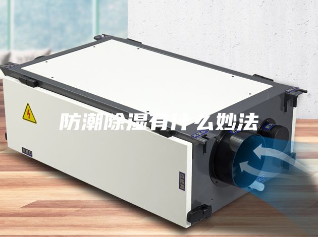 防潮除湿有什么妙法