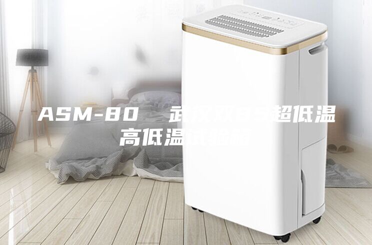 ASM-80  武汉双85超低温高低温试验箱