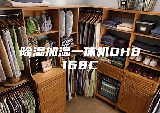 除湿加湿一体机DH8168C
