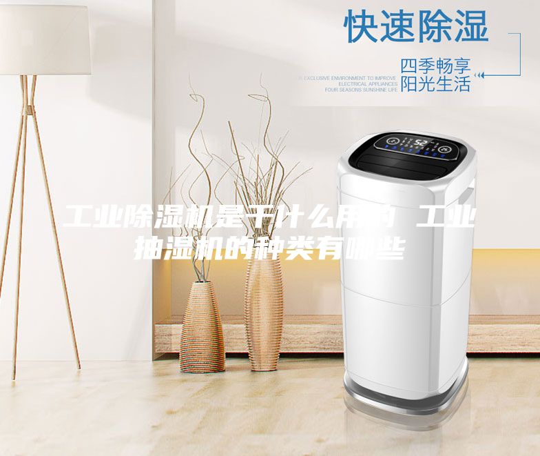 工业除湿机是干什么用的 工业抽湿机的种类有哪些