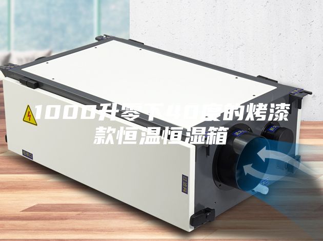1000升零下40度的烤漆款恒温恒湿箱