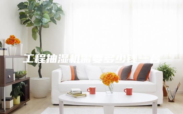 工程抽湿机需要多少钱一台