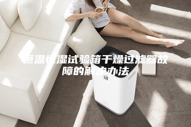 恒温恒湿试验箱干燥过滤器故障的解决办法