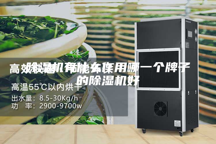 除湿机有什么作用哪一个牌子的除湿机好