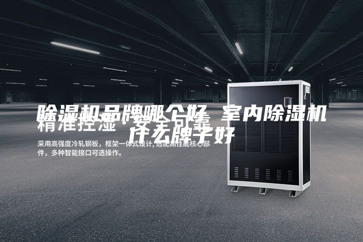 除湿机品牌哪个好 室内除湿机什么牌子好