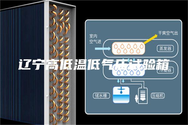 辽宁高低温低气压试验箱
