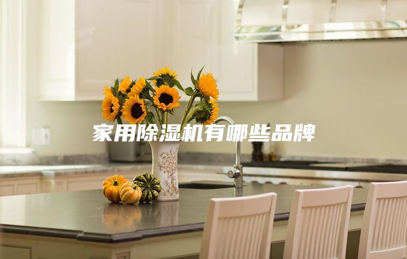 家用除湿机有哪些品牌