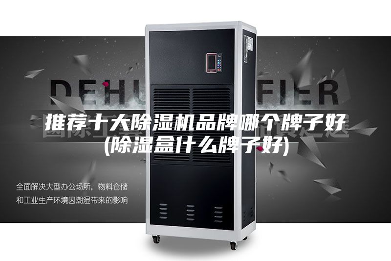 推荐十大除湿机品牌哪个牌子好(除湿盒什么牌子好)