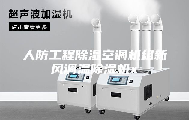 人防工程除湿空调机组新风调温除湿机x