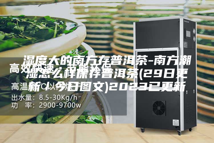 湿度大的南方存普洱茶-南方潮湿怎么样保存普洱茶(29日更新／今日图文)2023已更新