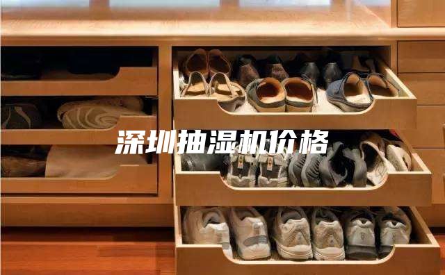 深圳抽湿机价格