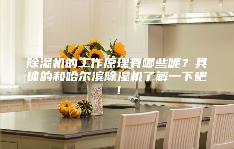 除湿机的工作原理有哪些呢？具体的和哈尔滨除湿机了解一下吧！