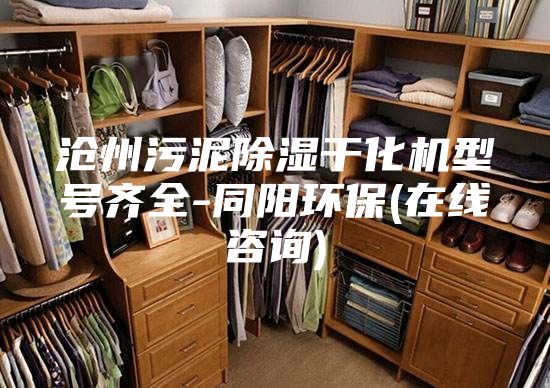 沧州污泥除湿干化机型号齐全-同阳环保(在线咨询)