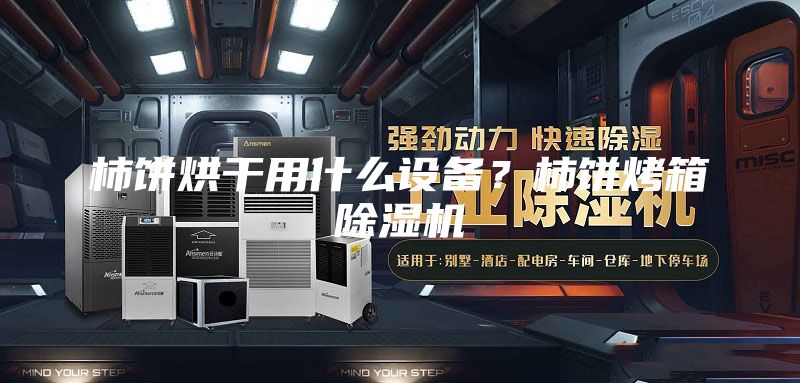 柿饼烘干用什么设备？柿饼烤箱除湿机