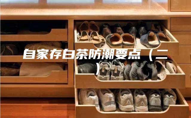自家存白茶防潮要点（二）