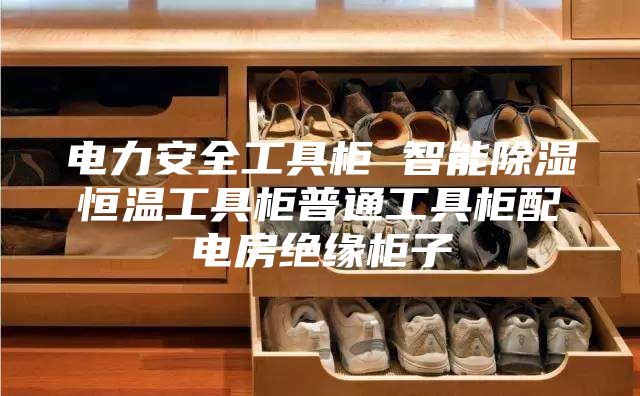 电力安全工具柜 智能除湿恒温工具柜普通工具柜配电房绝缘柜子