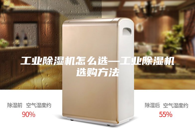 工业除湿机怎么选—工业除湿机选购方法