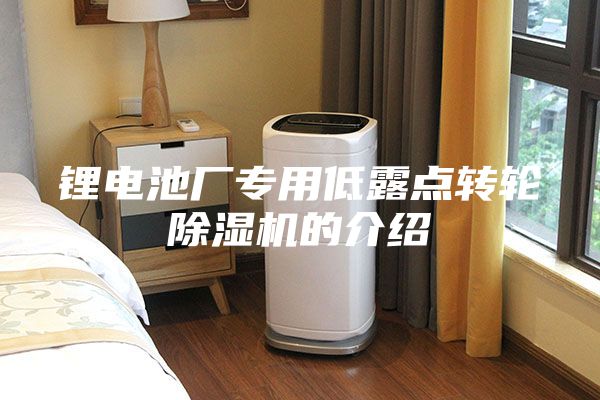 锂电池厂专用低露点转轮除湿机的介绍