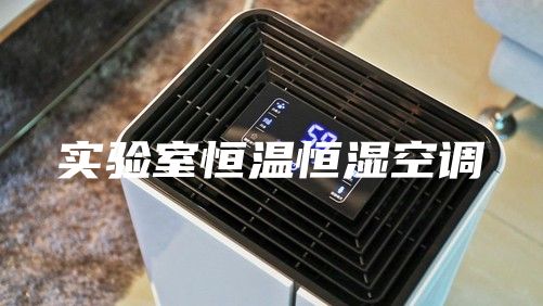 实验室恒温恒湿空调