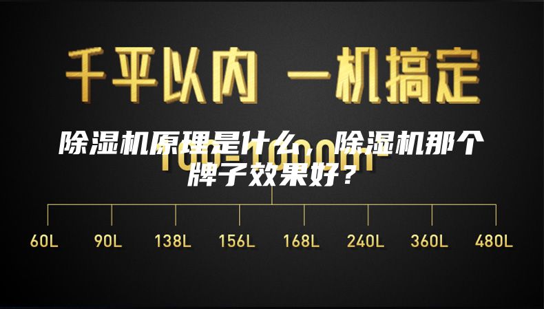 除湿机原理是什么，除湿机那个牌子效果好？