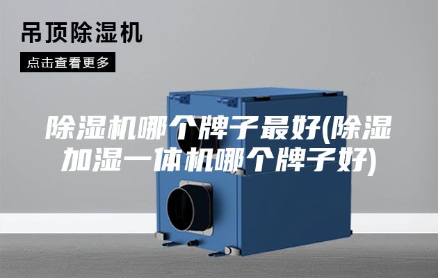 除湿机哪个牌子最好(除湿加湿一体机哪个牌子好)