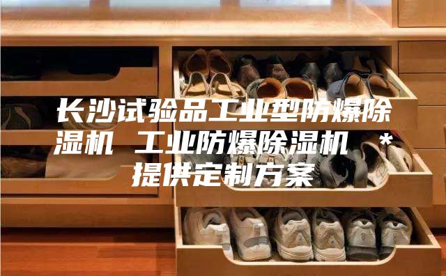 长沙试验品工业型防爆除湿机 工业防爆除湿机 ＊提供定制方案