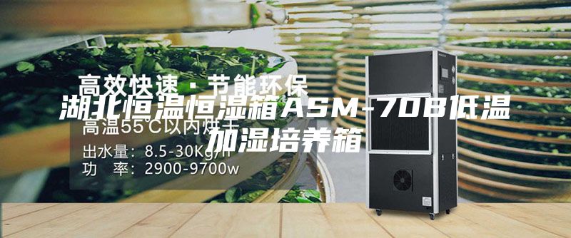 湖北恒温恒湿箱ASM-70B低温加湿培养箱