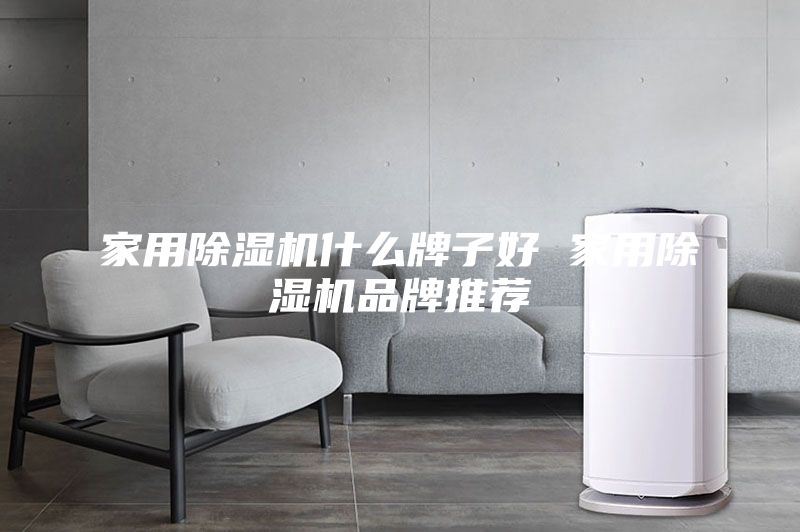 家用除湿机什么牌子好 家用除湿机品牌推荐
