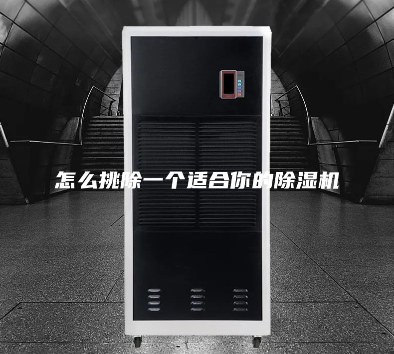 怎么挑除一个适合你的除湿机
