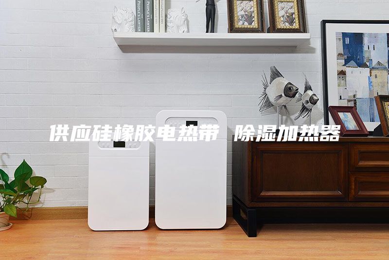 供应硅橡胶电热带 除湿加热器