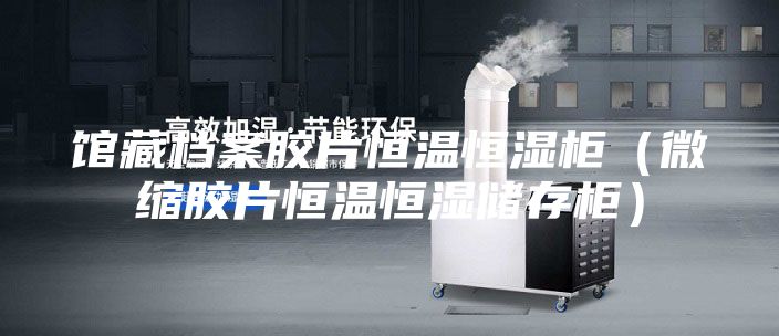 馆藏档案胶片恒温恒湿柜（微缩胶片恒温恒湿储存柜）
