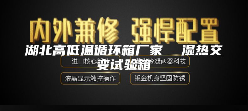 湖北高低温循环箱厂家  湿热交变试验箱