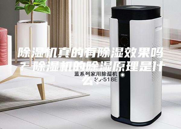 除湿机真的有除湿效果吗？除湿机的除湿原理是什么？
