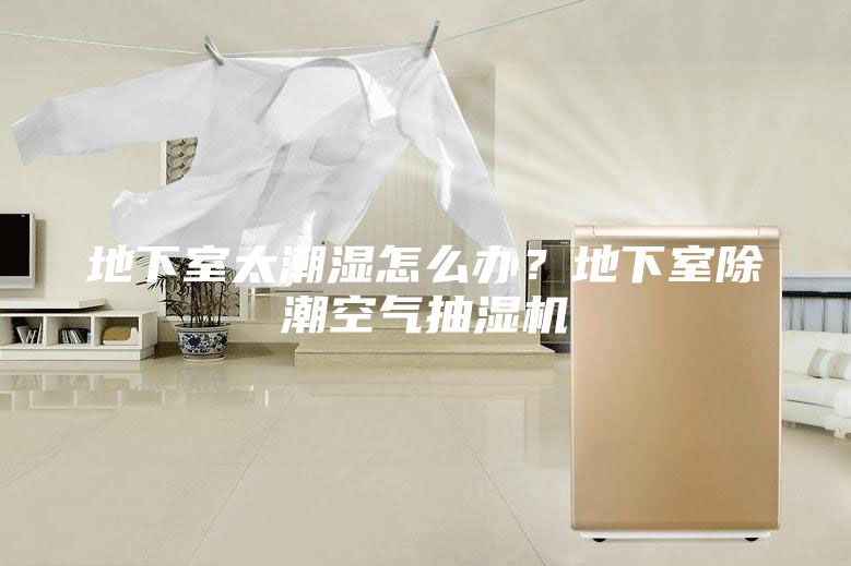 地下室太潮湿怎么办？地下室除潮空气抽湿机