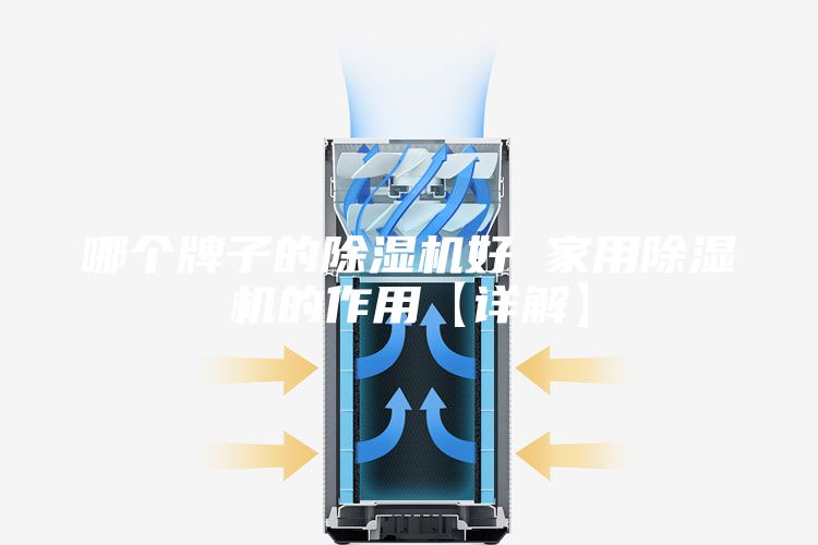 哪个牌子的除湿机好 家用除湿机的作用【详解】