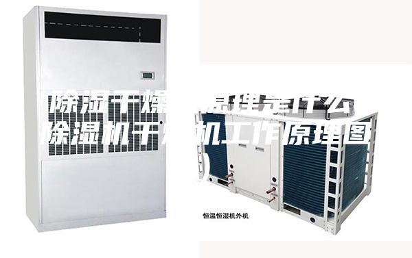 除湿干燥机原理是什么(除湿机干燥机工作原理图)