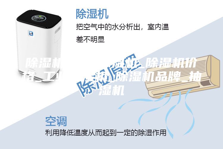 除湿机_百色除湿机_除湿机价格_工业除湿机_除湿机品牌_抽湿机