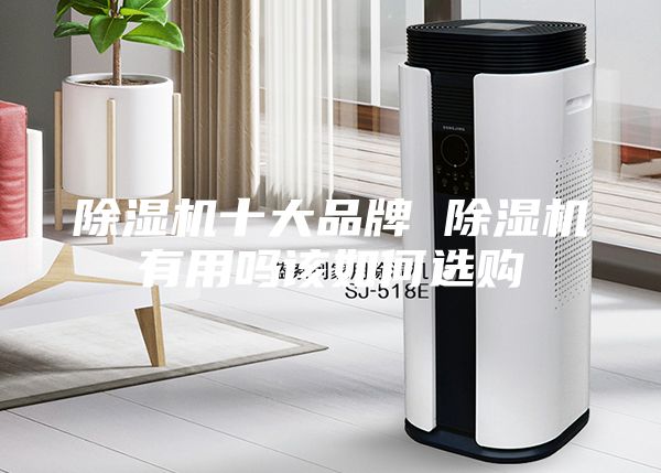 除湿机十大品牌 除湿机有用吗该如何选购