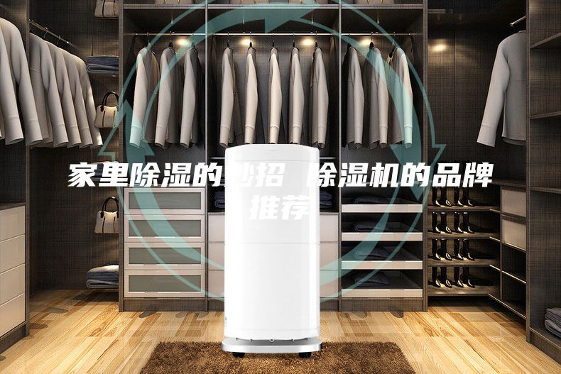 家里除湿的妙招 除湿机的品牌推荐