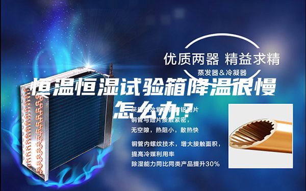 恒温恒湿试验箱降温很慢怎么办？