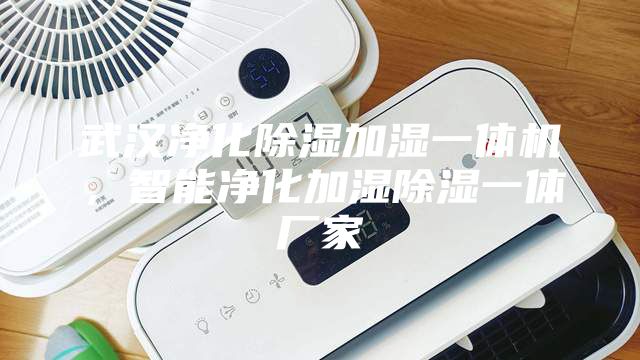 武汉净化除湿加湿一体机，智能净化加湿除湿一体厂家