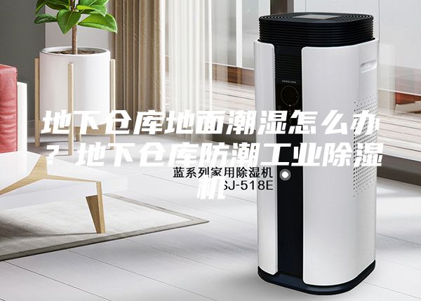 地下仓库地面潮湿怎么办？地下仓库防潮工业除湿机