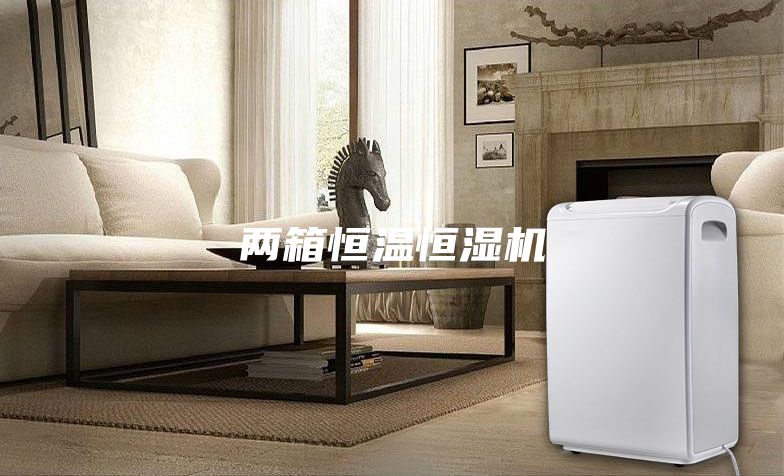 两箱恒温恒湿机