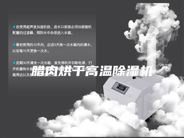腊肉烘干高温除湿机