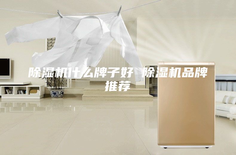 除湿机什么牌子好 除湿机品牌推荐