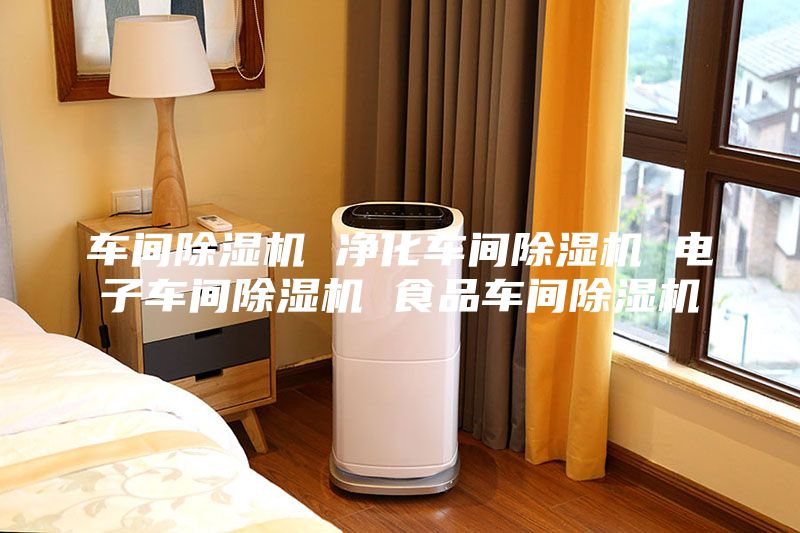 车间除湿机 净化车间除湿机 电子车间除湿机 食品车间除湿机