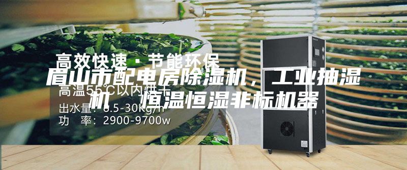 眉山市配电房除湿机，工业抽湿机  恒温恒湿非标机器