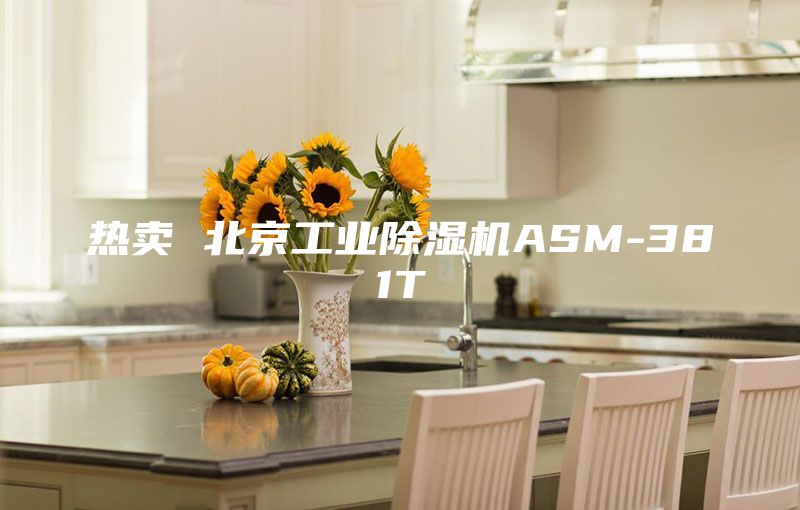 热卖 北京工业除湿机ASM-381T
