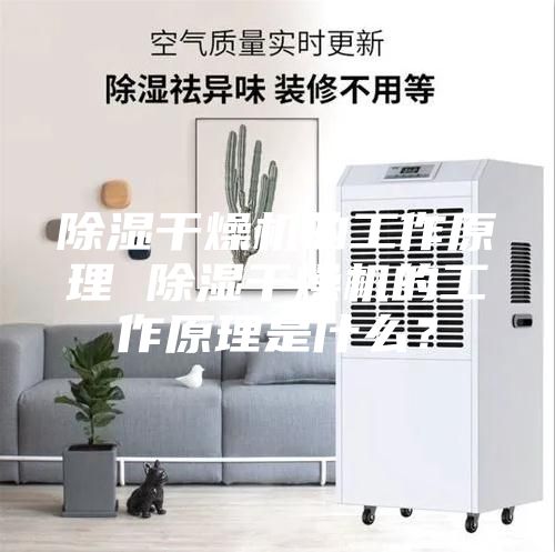 除湿干燥机的工作原理 除湿干燥机的工作原理是什么？