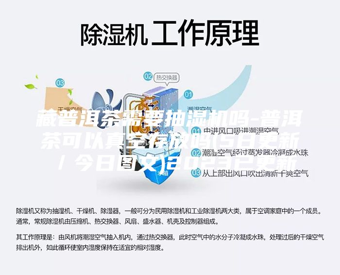 藏普洱茶需要抽湿机吗-普洱茶可以真空存放吗(5日更新／今日图文)2023已更新